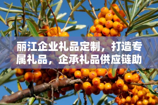 丽江企业礼品定制，打造专属礼品，企承礼品供应链助力商务往来