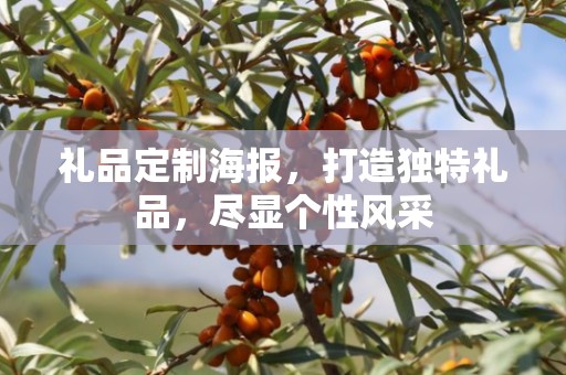 礼品定制海报，打造独特礼品，尽显个性风采